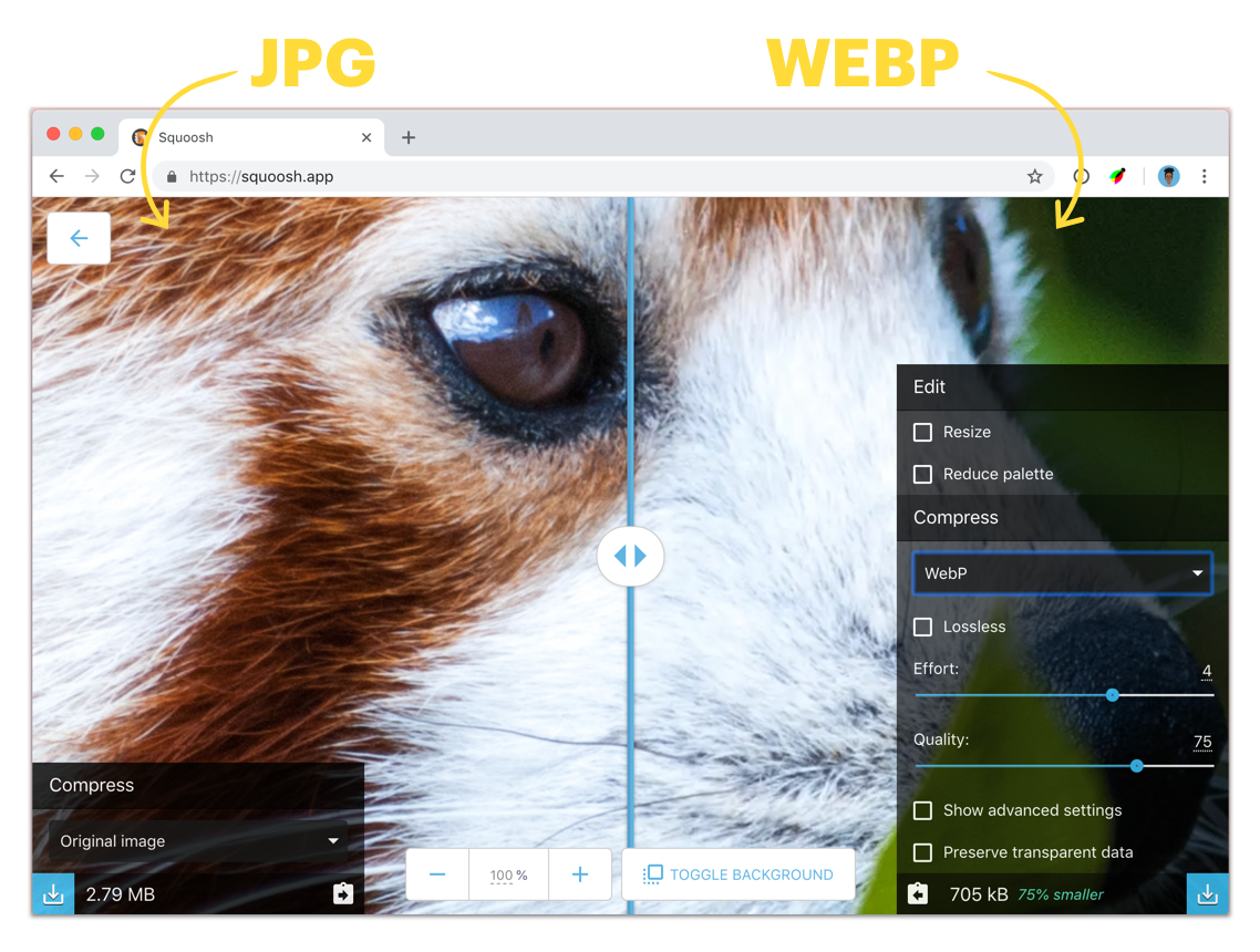 Comparison of JPG and WebP